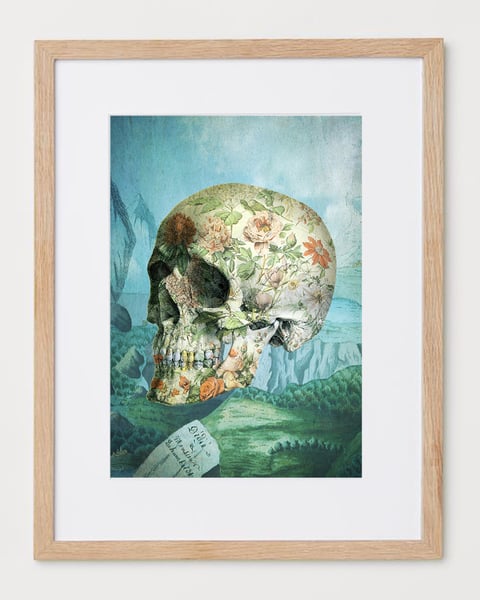 Image of Lámina Porcelain skull