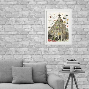 Image of Lámina Madrid botánico