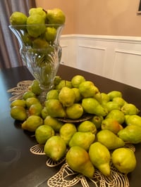 Image 3 of Canned Pears 32oz. (Bartlett)