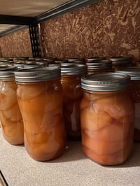 Image 4 of Canned Pears 32oz. (Bartlett)