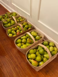 Image 5 of Canned Pears 32oz. (Bartlett)