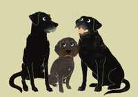 Image 3 of Custom Digital Three Pet Portrait