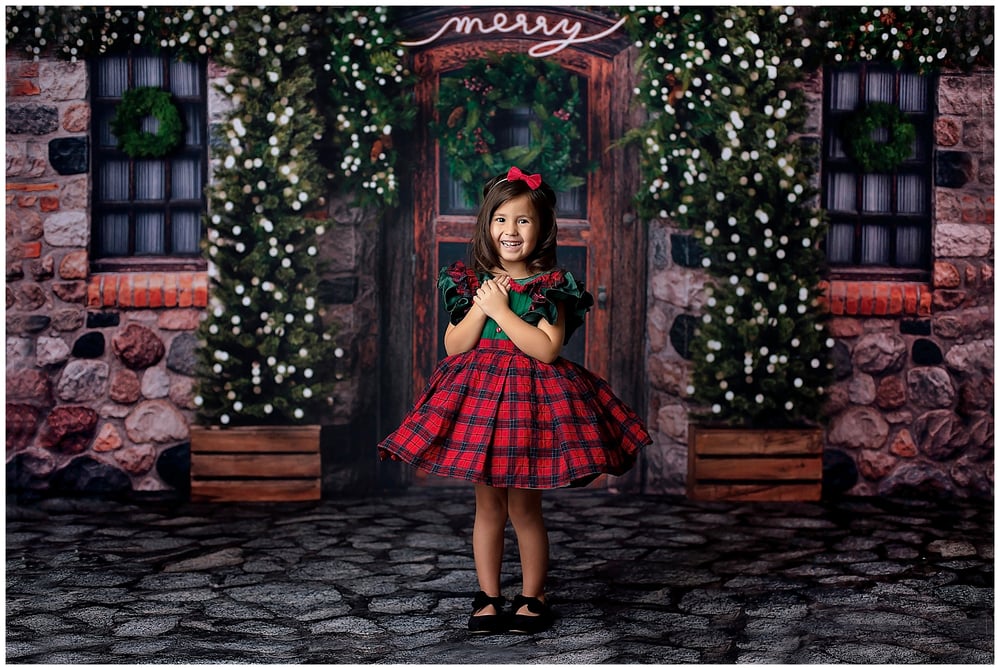 Image of 2021 Christmas Mini Session