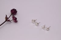 Image 4 of Faceted pebble stud earrings 