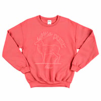 Image 2 of Punt Sweatshirt - Paprika