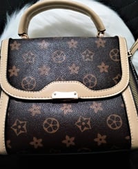 Brown/Biege Medium Fashion Purse