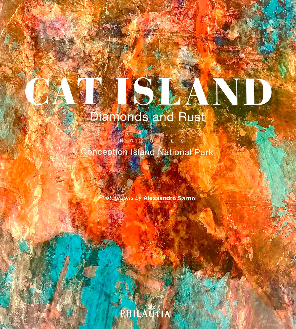 Image of CAT ISLAND - Diamonds and Rust