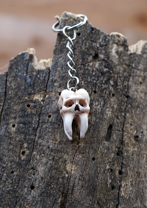 Image of Cavity Keyring