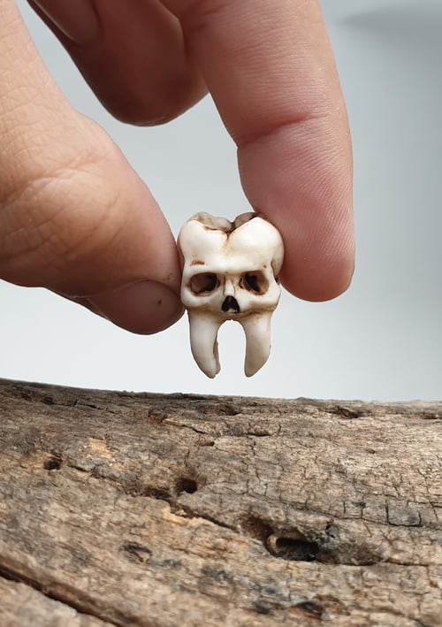 Image of Cavity Keyring