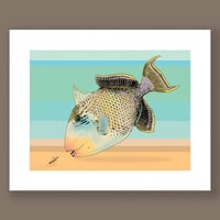 Image 1 of Fine Art Print signed by Al Q / Yellow Margin Triggerfish (16 in. x 20 in.) suitable for framing