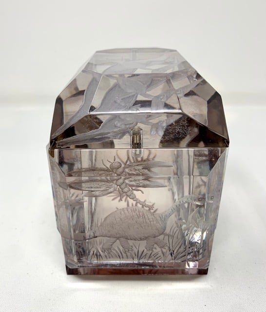 Image of Dinosaurs Lucite Box (with Pterodactyl Lid)