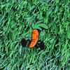 Rod the Carrot "Runnin" Pin