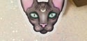 Pastel Spooky Hairless Moon Cat Sticker