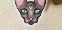 Image 5 of Pastel Spooky Hairless Moon Cat Sticker