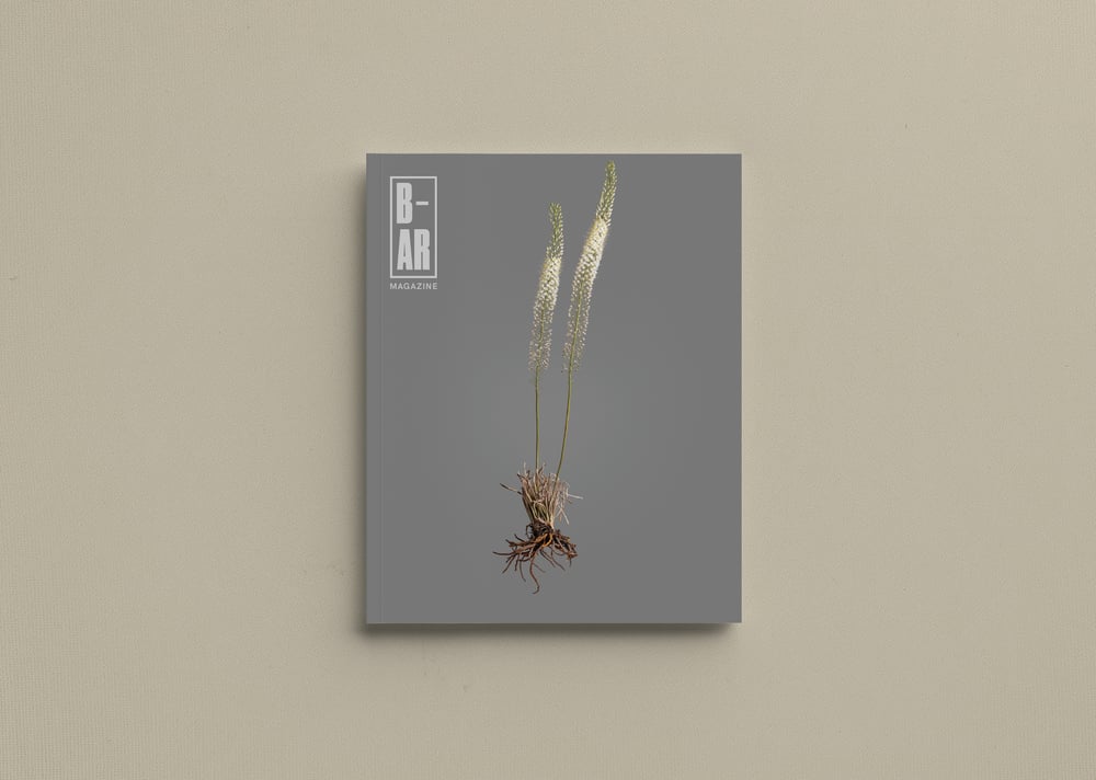 Image of Issue 07: Rooting