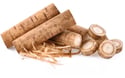Organic Burdock Root, Whole (Fresh)