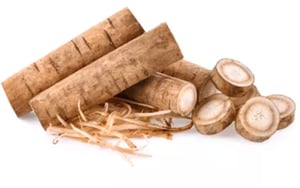 Image of Organic Burdock Root, Whole (Fresh)