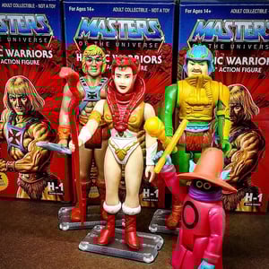 MASTERS of the UNIVERSE / HEROIC WARRIORS