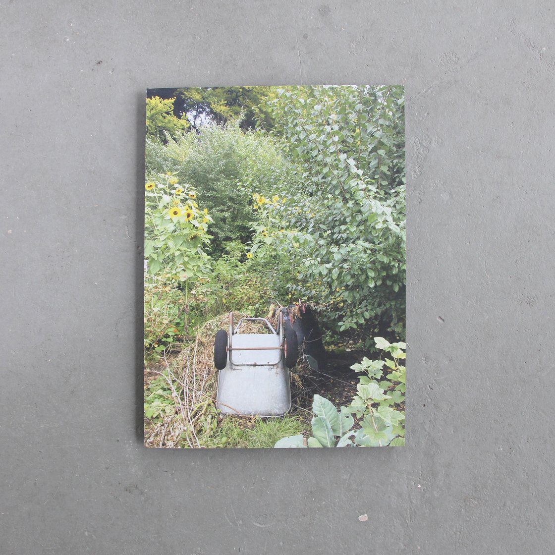 Image of Vegetable garden – print on dibond