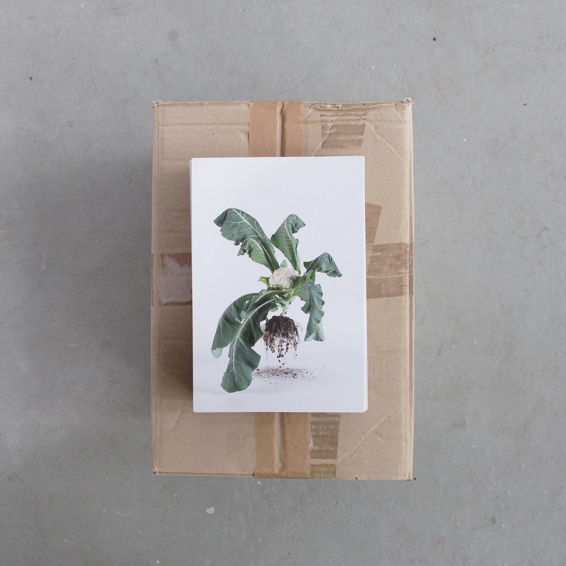 Image of Local versus supermarket – postcards