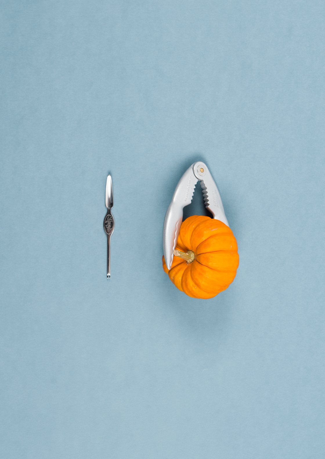 Image of Dynamic Food – print on dibond