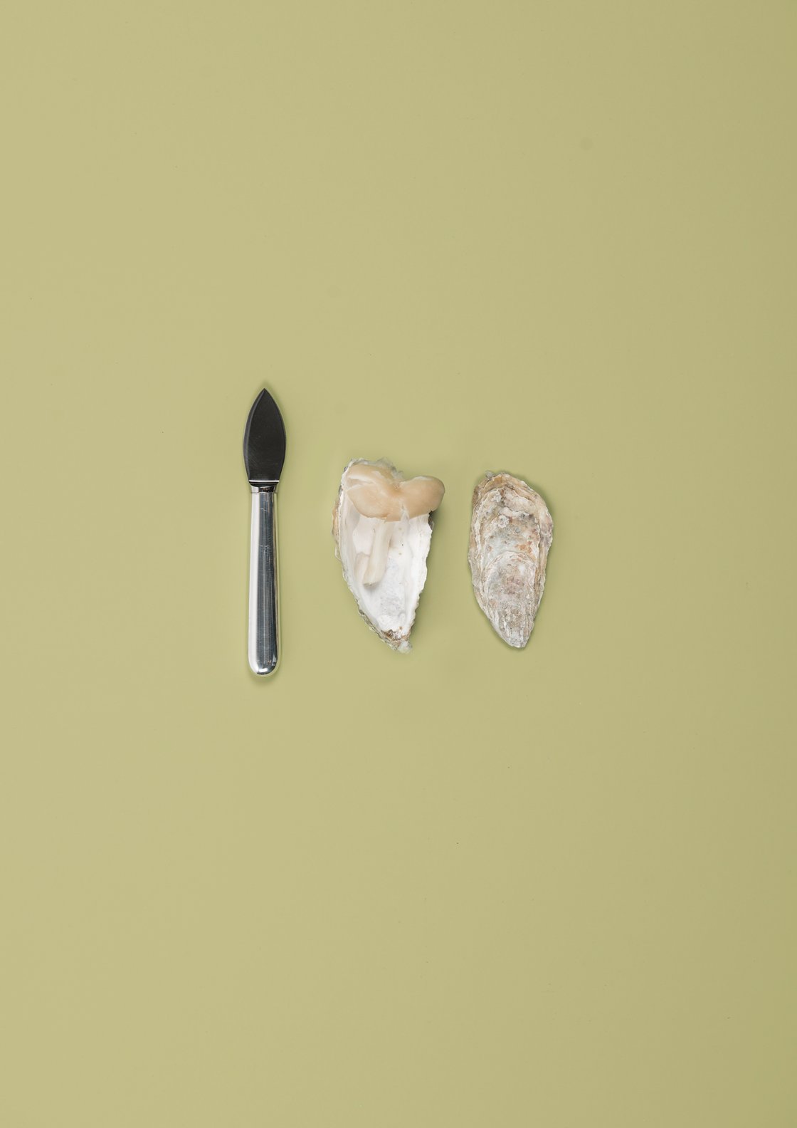 Image of Dynamic Food – print on dibond