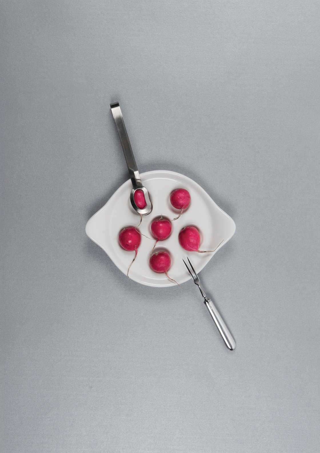 Image of Dynamic Food – print on dibond