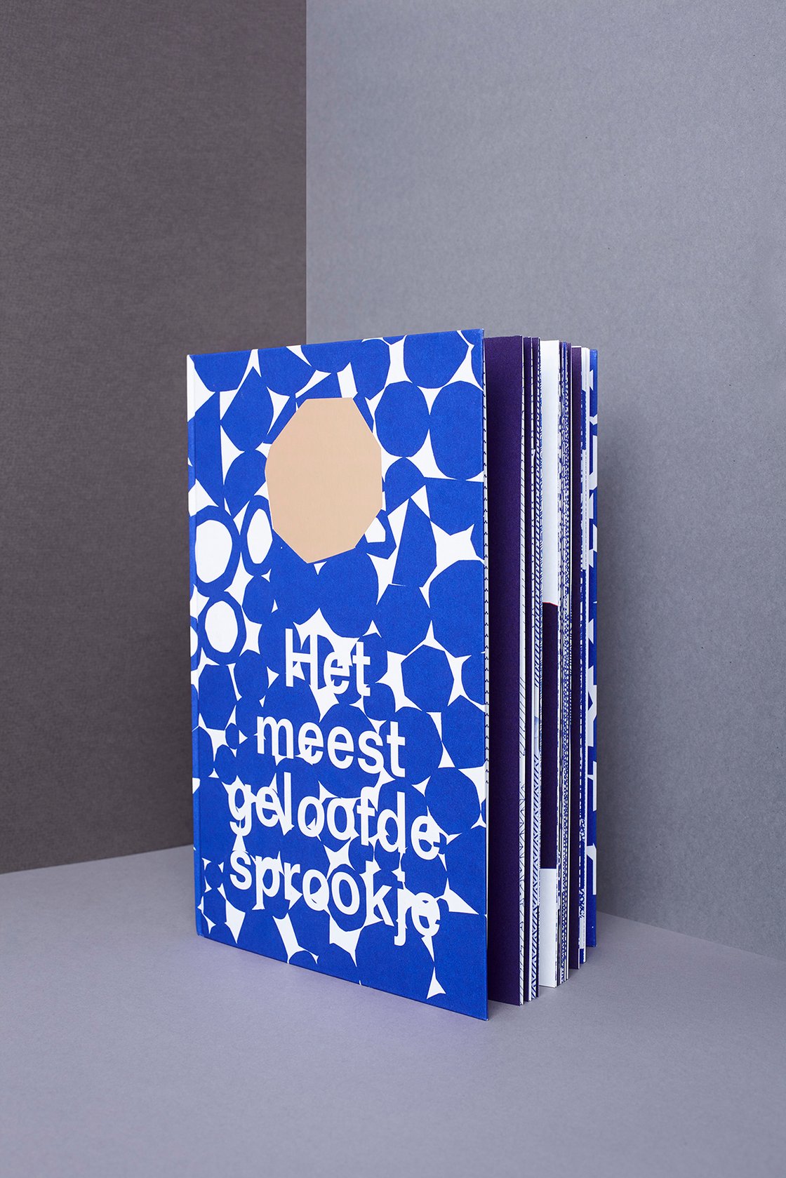 Image of Het meest geloofde sprookje – book