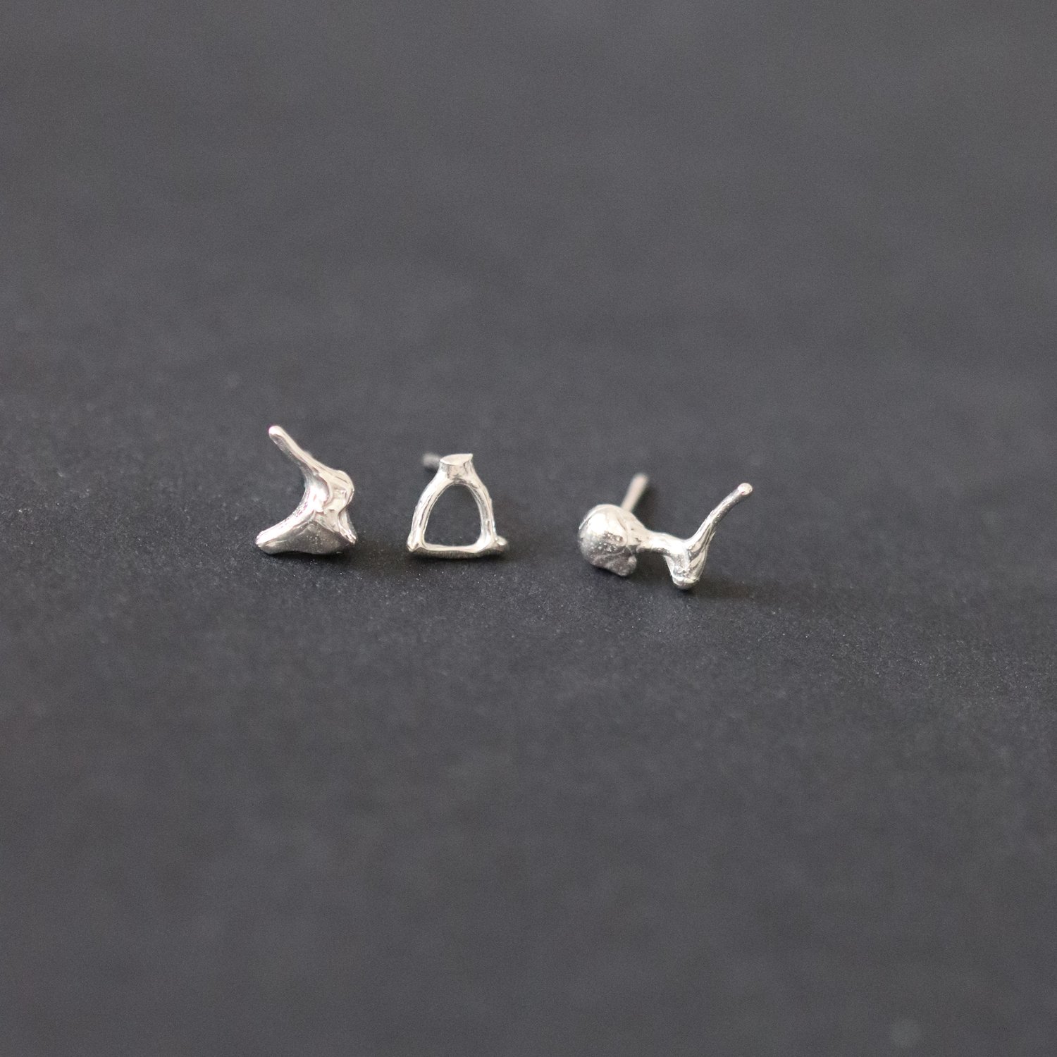 ear bone studs.