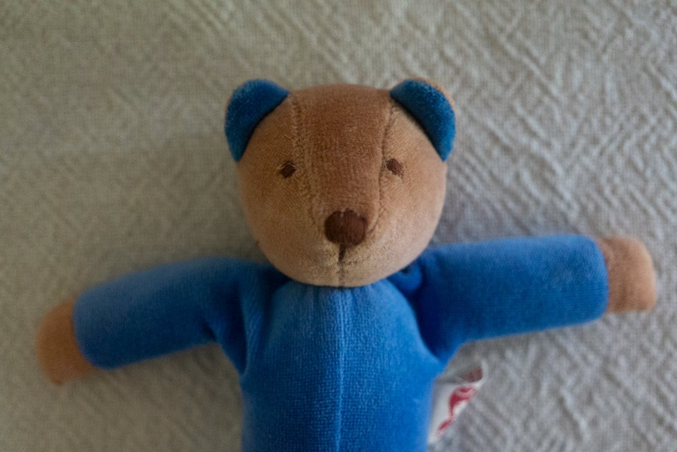 Image of mini bear