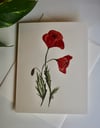 "Red Poppy" Card