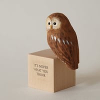 Image 2 of Wise owl