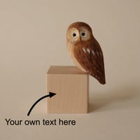 Image 3 of Wise owl