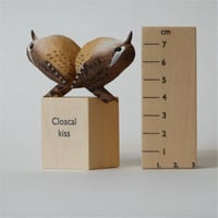 Image 2 of Cloacal kiss