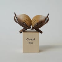 Image 1 of Cloacal kiss