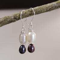 Image 5 of Perla B&W