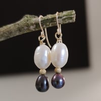 Image 4 of Perla B&W