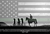 10-15 GREEN LINE FLAG