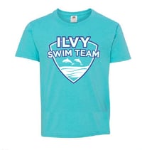 Adult (2XL & 3XL) Fall 2021 ILVY Dolphins T-shirt short sleeve FOL 3930R