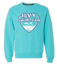 Adult (sm-xl) Fall 2021 ILVY Dolphins Crewneck Sweatshirt FOL SF72R