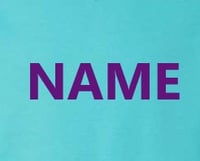 NAME for Fall 2021 ILVY Dolphins