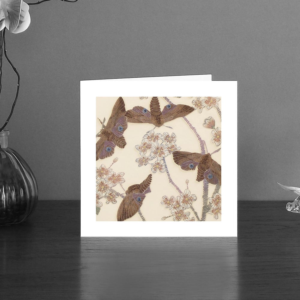 Image of Eyed Hawkmoth art card