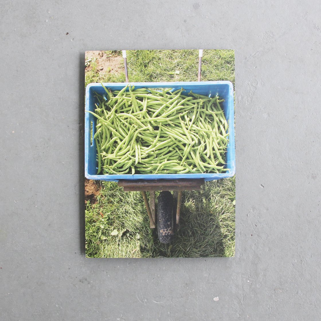 Image of Vegetable garden – print on dibond