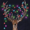 'Tangled Antlers' Luxury Christmas Cards (single or multipack)
