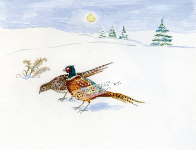 Image of HC28  Pheasants in the Snow