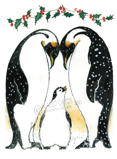 Image of HC14  King Penguins