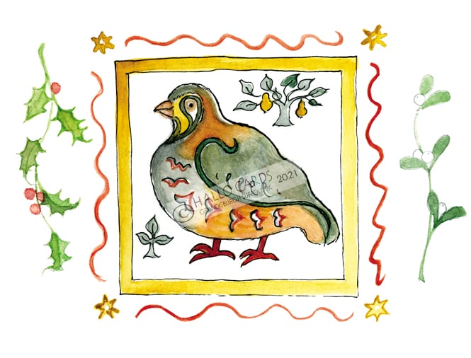 Image of HC29  Partridge