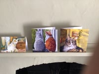 Image 3 of Greeting Cards: Set of three. More Cats, Cats, Cats!