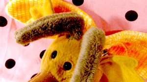 errol the parasitic reincarnation of otezla