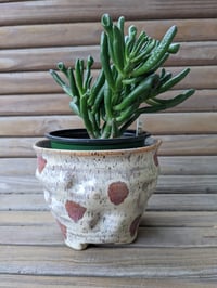 lumpy bumpy vase/planter